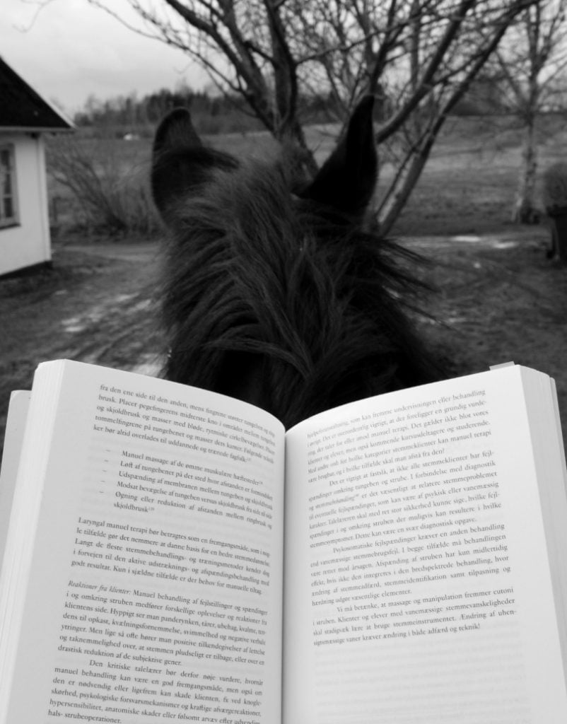 Rytter læser bog på hest