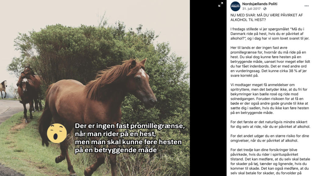 Nordsjællands Politi om det at ride alkoholpåvirket på en hest