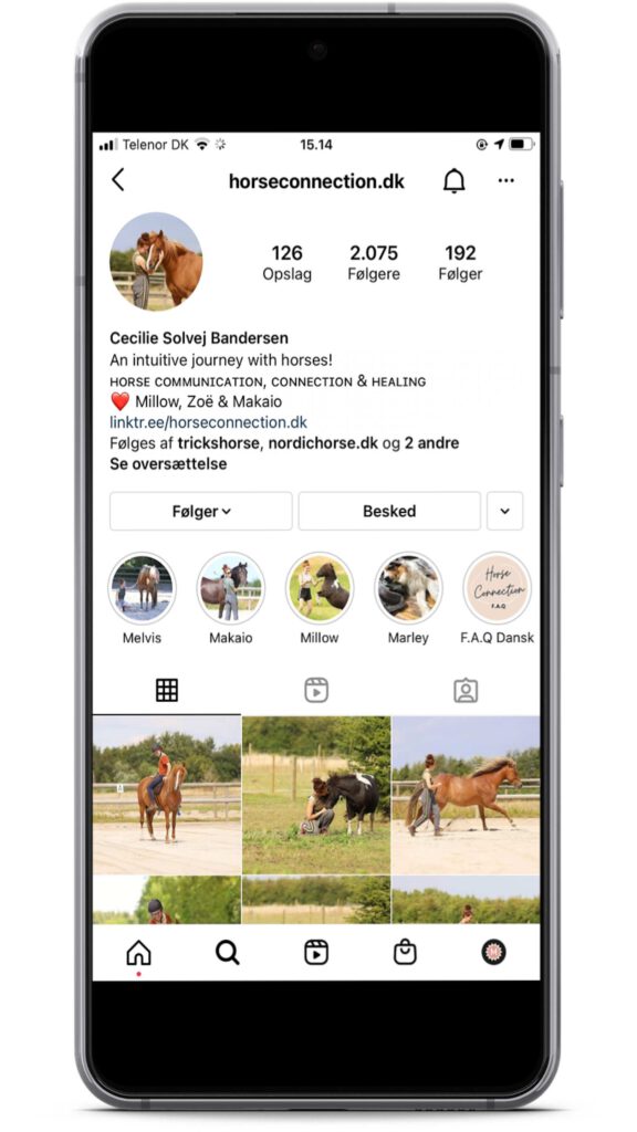 Horseconnection er en instagrammer med holistisk syn på heste