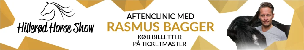 Rasmus Bagger Mega Event banner