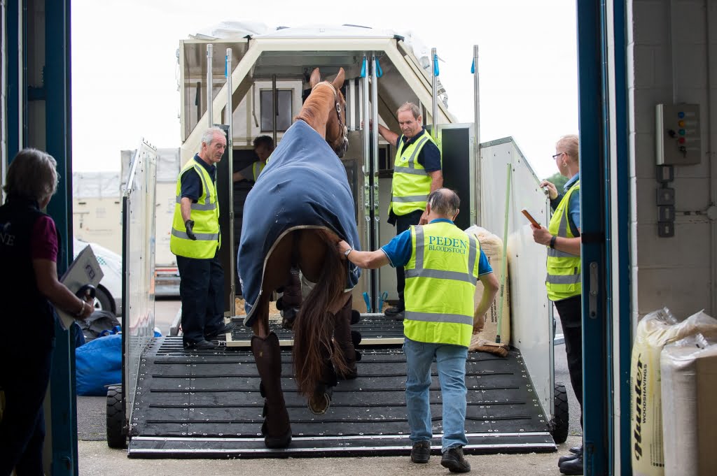 A horse bound for the 2016 Rio Olympic Games is loaded into its stable for the flight - 29 July 2016 -`Pic Jon Stroud