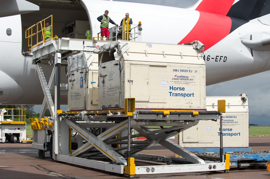 Horses bound for the Rio 2016 Olympic Games are loaded on to an Emirates SkyCargo Boeing 777-F at London Stansted Airport. On the flight were 34 horses from 10 of the nations competing in Equestrian at Rio 2016 - 29 July 2016 -Pic Jon Stroud