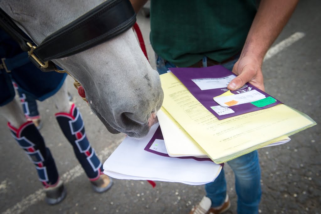 Every horse heading out to the Rio 2016 Olympic Games travels with its own passport - 29 July 2016 - Pic Jon Stroud
